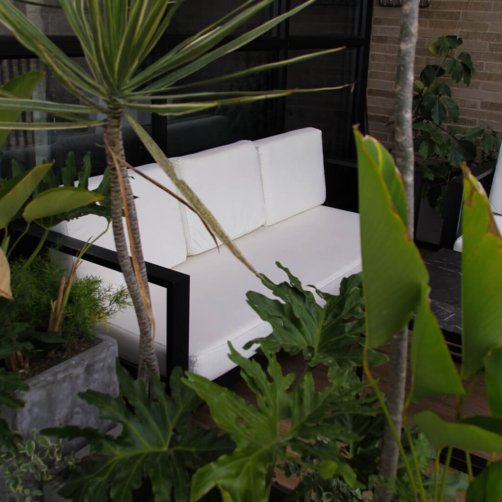 Oda-fotos-web-optimizadas-15