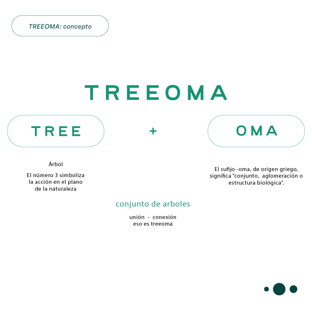 Oda-imagenes-web-optimizadas_Mesa de trabajo 1